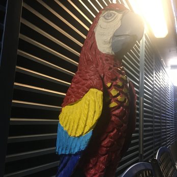 The Fish House - Parrot out front - Seafood Near Me - Key Largo, Florida The Fish House - Parrot out front - Seafood Near Me - Key Largo, Florida