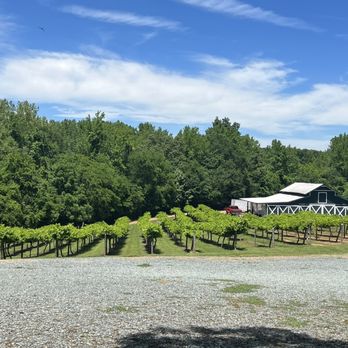 Rocky River Vineyards - Wineries Near Me - Midland, North Carolina Rocky River Vineyards - Wineries Near Me - Midland, North Carolina