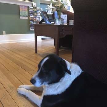 Purple Mountain Bed & Breakfast - Even a cute dog! - Bed & Breakfast Near Me - Crested Butte, Colorado Purple Mountain Bed & Breakfast - Even a cute dog! - Bed & Breakfast Near Me - Crested Butte, Colorado