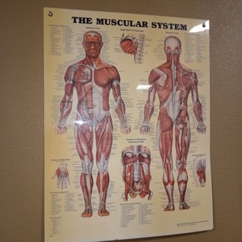 Plains Physical Therapy - Physical Therapy Near Me - Plains, Montana Plains Physical Therapy - Physical Therapy Near Me - Plains, Montana