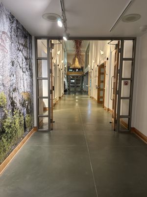 Kelowna Art Gallery by null