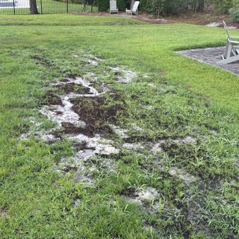 Sparta Lawn Care - Lawn Services Near Me - Columbia, South Carolina Sparta Lawn Care - Lawn Services Near Me - Columbia, South Carolina