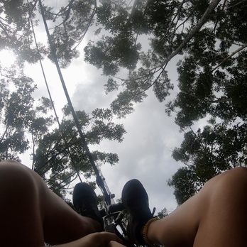 Koloa Zipline - Ziplining Near Me - Koloa, Hawaii Koloa Zipline - Ziplining Near Me - Koloa, Hawaii