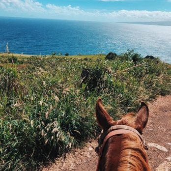 Circle M Ranch - Horseback Riding Near Me - Wailuku, Hawaii Circle M Ranch - Horseback Riding Near Me - Wailuku, Hawaii