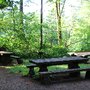 Photo of Hamilton Mountain Trail