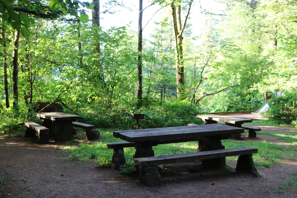 Hamilton Mountain Trail Logo