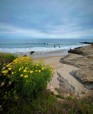 Leo Carrillo State Park by null