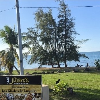Jibaro's - View of the Luquillo beach from the second level. - Puerto Rican Near Me - Luquillo, Puerto Rico Jibaro's - View of the Luquillo beach from the second level. - Puerto Rican Near Me - Luquillo, Puerto Rico