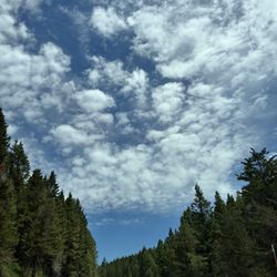 Targhee National Forest