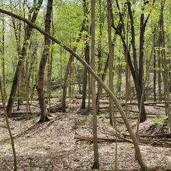 Oatka Creek Park