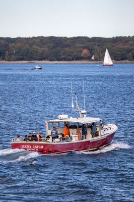 Casco Bay Lines by null