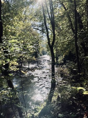 Wissahickon Valley Park by null