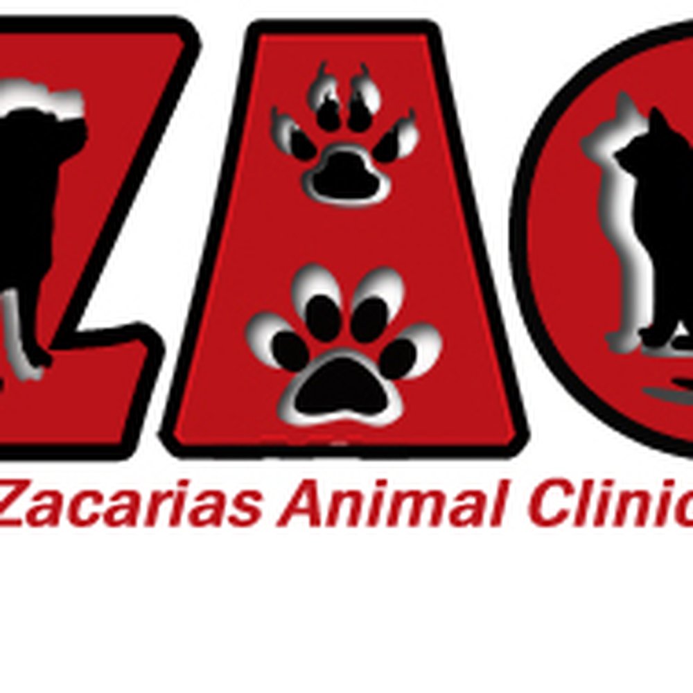 TOP 10 BEST Veterinarians in Solano, Nueva Vizcaya, Philippines - Updated  2025 - Yelp