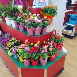 Pick-Rite Thriftway - Floral Department