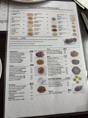 Menu photo 8 Tropical Chinese Restaurant Miami, FL Menu photo 8 Tropical Chinese Restaurant Miami, FL
