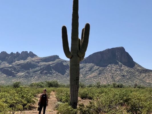 White Stallion Ranch by null