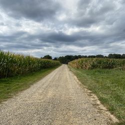 Canaan Apple Orchard - Drive past the corn field going in.