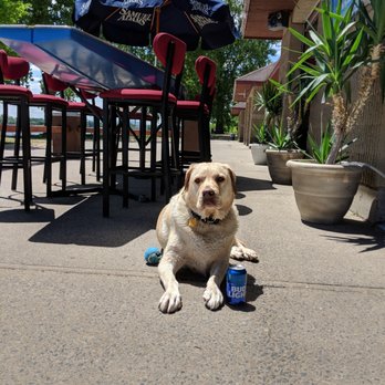 The Cabana Beach Bar - Bars Near Me - Plattsburgh, New York