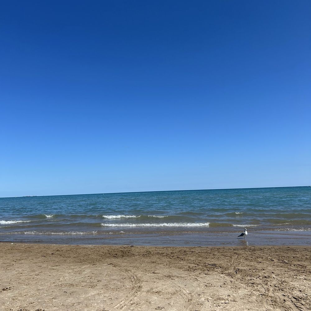 Loyola Park - Beach - Parks Near Me - Chicago, Illinois