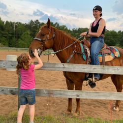 Gainey's Horse Heaven Stable
