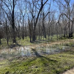George Bush Park - Flooded areas
