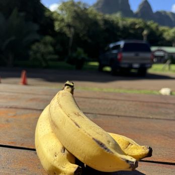 Kalalea Juice Hale - Coffee & Tea Near Me - Anahola, Hawaii