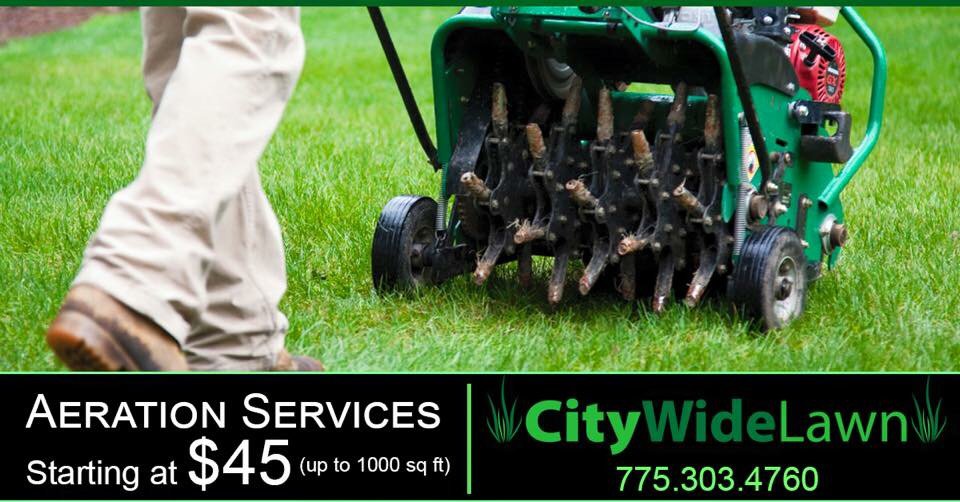 City Wide Lawn Care - tree service in Sparks, NV