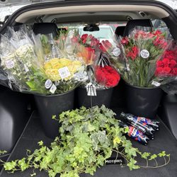 The Rose Shop - Our shopping trip!