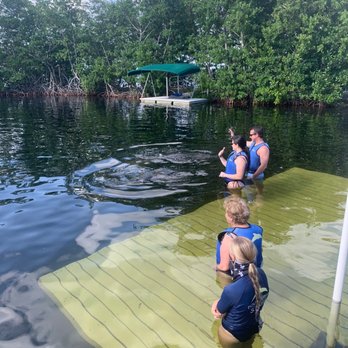 Dolphins Plus - Aquariums Near Me - Key Largo, Florida