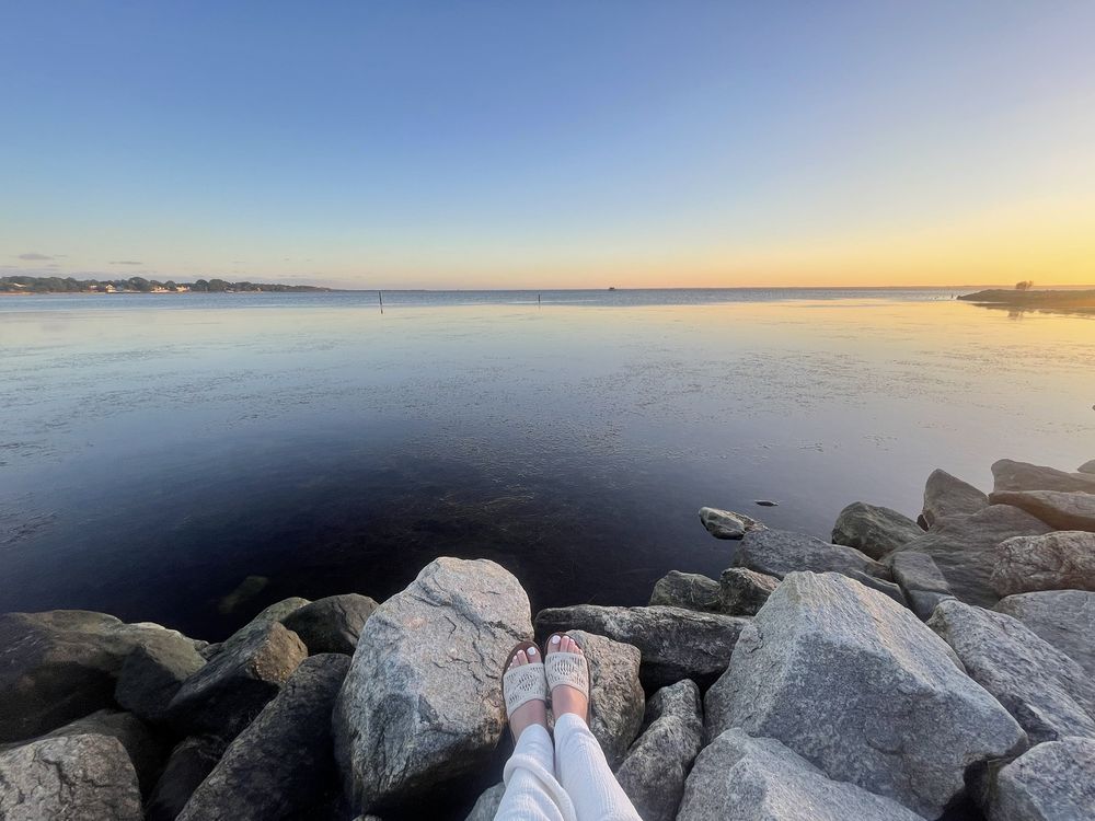 Outer Banks Center For Wildlife Education