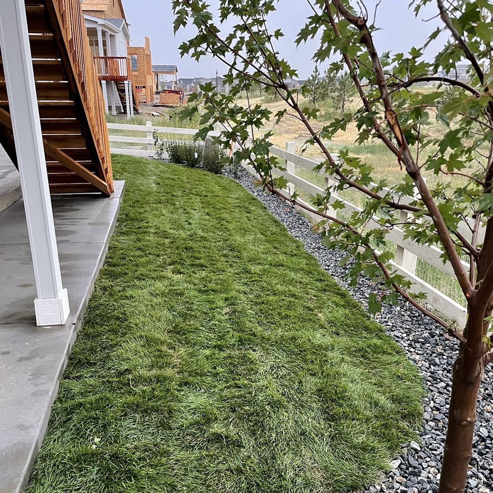Natural Landscaping and Design - Landscape Architects or Designers Near Me - Aurora, Colorado Natural Landscaping and Design - Landscape Architects or Designers Near Me - Aurora, Colorado