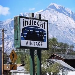 Indie Cat Vintage