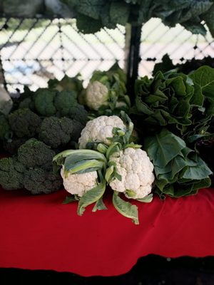 Modesto Certified Farmers' Market by null