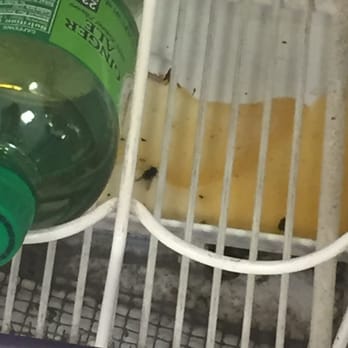Rite Aid - Disgusting! - Drugstores Near Me - Fontana, California Rite Aid - Disgusting! - Drugstores Near Me - Fontana, California