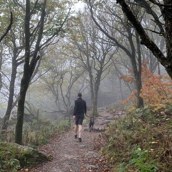 Craggy Gardens - Dog friendly - Hiking Near Me - Black Mountain, North Carolina