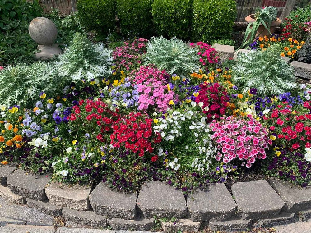 LEX PLANT FARM & GARDEN CENTER Updated October 2024 27 Photos