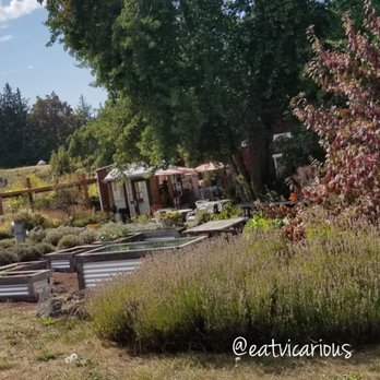 Nourish Sequim - Garden - Gluten-Free Near Me - Sequim, Washington Nourish Sequim - Garden - Gluten-Free Near Me - Sequim, Washington