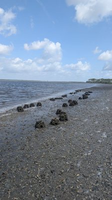 Guana Tolomato Matanzas National Estuarine Research Reserve by null