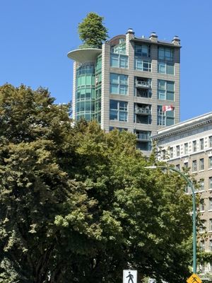 Cycle City Tours And Bike Rentals by null