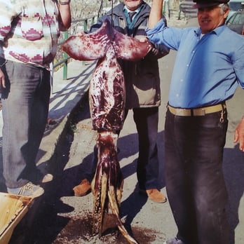 Bar Mare Petit - Had squid for lunch.  THIS ONE. Everyone had squid for lunch - Italian Near Me - Praiano, SA