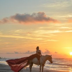 Galveston Island Horse and Pony Rides