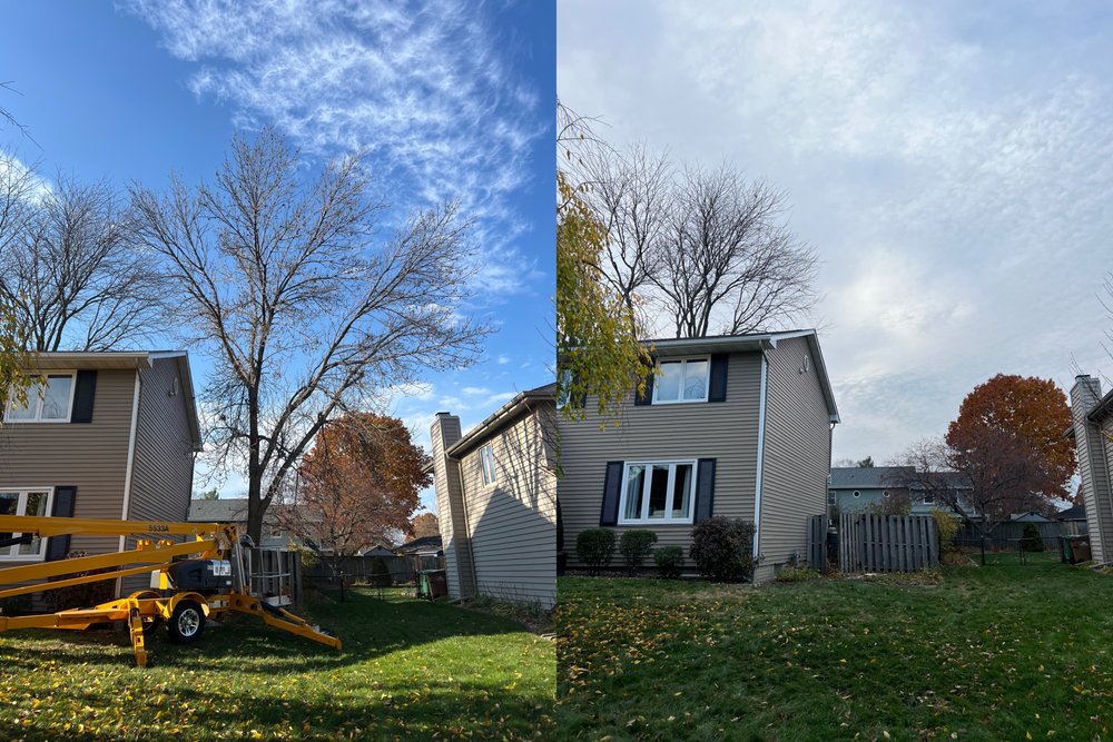 JN Services - tree service in Johnston, IA