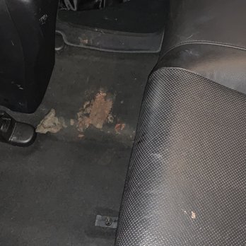 Ngenious Car Care - Before pic.  on carpet after I took the mats off. He did well cleaning the poo off the mats as well. - Car Wash Near Me