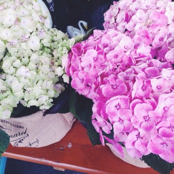 Roses Florist - How stunning are hydrangeas! - Florists Near Me - Auckland, AUK