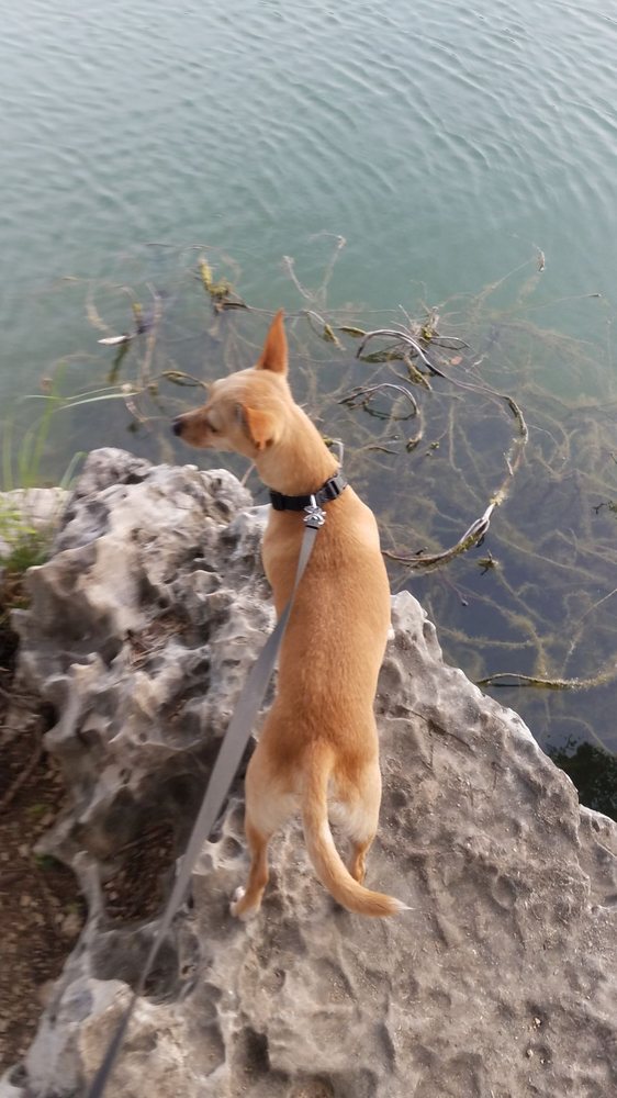 THE QUARRIES 25 Photos 11400 N MoPac Expy, Austin, TX Yelp