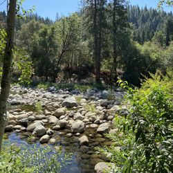 Little Town Campground