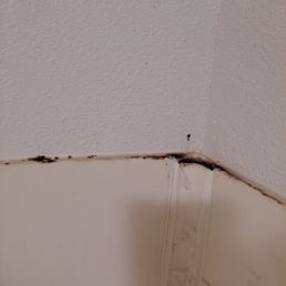Shower full of mold Shower full of mold