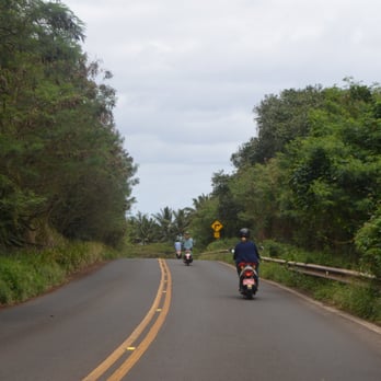 808 Rides - The mopeds on our trip along west maui. - Bike Rentals Near Me - Lahaina, Hawaii
