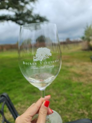 Becker Vineyards by null