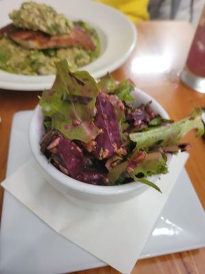 The Noble South by null